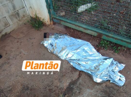 Fotos de Inicio