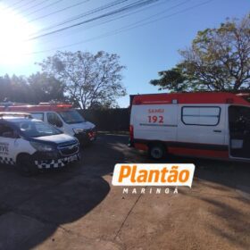 Moça encontrada desacordada em Maringá relata sequestro após sair de conveniência em Londrina Foto 1 Fotos de Moça encontrada desacordada em Maringá relata sequestro após sair de conveniência em Londrina
