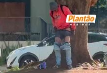 Fotos de Morador em situação de rua é flagrado fazendo necessidades fisiológicas em via pública ao lado do Parque do Ingá