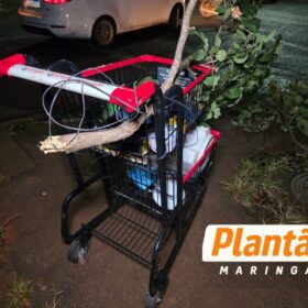 Motoboy e morador de rua ficam em estado gravíssimo após atropelamento em Maringá Foto 11 Fotos de Motoboy e morador de rua ficam em estado gravíssimo após atropelamento em Maringá