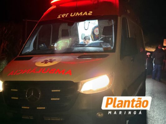 Fotos de Motociclista fica ferido após colisão com capivara na PR-546 entre Floresta e Itambé
