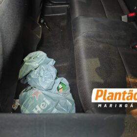 Fotos de Motorista foge após provocar acidente que matou jovem motociclista em Maringá