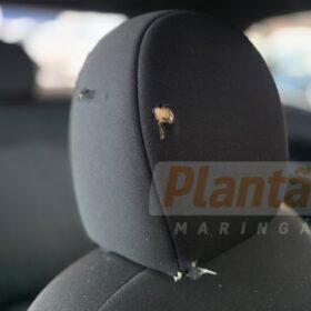 Fotos de Motorista tenta atropelar guardas durante perseguição, tiros são disparados e fuga termina com prisão em Maringá