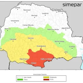 Fotos de Paraná amanhece com geadas e 19 cidades registram menor temperatura do ano nesta quinta; veja quais