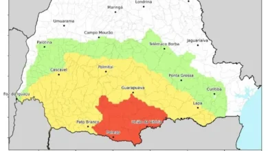 Fotos de Paraná amanhece com geadas e 19 cidades registram menor temperatura do ano nesta quinta; veja quais