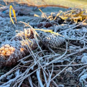 Paraná registra sensação térmica de até -8,4°C, mas frio mais intenso ainda está por vir; veja a previsão Foto 2 Fotos de Paraná registra sensação térmica de até -8,4°C, mas frio mais intenso ainda está por vir; veja a previsão