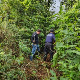 PCPR REALIZA BUSCAS EM ÁREA RURAL DURANTE INVESTIGAÇÃO SOBRE DESAPARECIMENTO DE JOVENS Foto 2 Fotos de PCPR REALIZA BUSCAS EM ÁREA RURAL DURANTE INVESTIGAÇÃO SOBRE DESAPARECIMENTO DE JOVENS