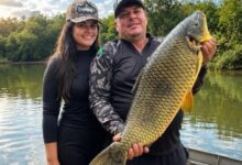 Fotos de Pescadores da região de Maringá fisgam piauçu gigante em rio no Paraná