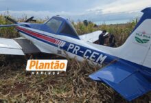 Fotos de Piloto sobrevive a quinto acidente aéreo após avião agrícola apresentar problemas e descer em plantação em Marialva