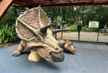 Fotos de População pede e exposição de réplicas de dinossauros no Parque do Ingá é prorrogada