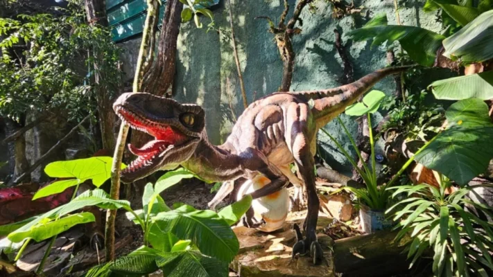 População pede e exposição de réplicas de dinossauros no Parque do Ingá é prorrogada Foto 2 Fotos de População pede e exposição de réplicas de dinossauros no Parque do Ingá é prorrogada