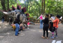 Fotos de Prefeitura do Município de Maringá - Exposição ‘Jurássico Condor’ atrai mais de 6 mil visitantes ao Parque do Ingá em um único dia e triplica público esperado