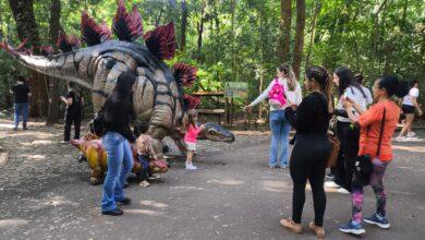 Fotos de Prefeitura do Município de Maringá - Exposição ‘Jurássico Condor’ atrai mais de 6 mil visitantes ao Parque do Ingá em um único dia e triplica público esperado