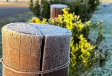 Fotos de Primeira onda de frio do inverno tem data confirmada para ‘congelar’ o Paraná com -1°C; veja quando