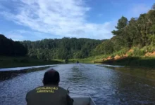 Fotos de Proibição de pesca e uso da água de represa no Paraná é prorrogada; veja detalhes