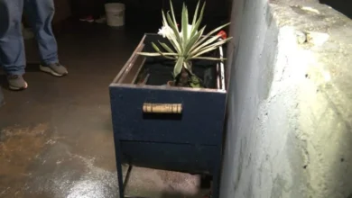 Fotos de Casal é preso após provocar aborto aos 5 meses de gestação e esconder feto na churrasqueira no PR
