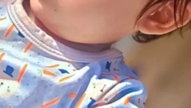 Fotos de Bebê de 1 ano morre após carro da família capotar em acidente na PR-471
