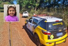 Fotos de Criança de 4 anos morre após caminhonete sair da pista e bater contra árvore na PR-317