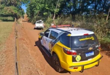 Fotos de Criança de 4 anos morre após caminhonete sair da pista e bater contra árvore na PR-317