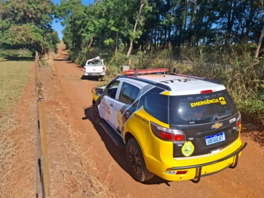 Criança de 4 anos morre após caminhonete sair da pista e bater contra árvore na PR-317 Foto 1 Fotos de Criança de 4 anos morre após caminhonete sair da pista e bater contra árvore na PR-317