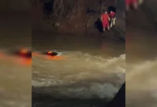 Fotos de Menina de 4 anos desaparece após carro com a família cair de ponte e afundar no PR