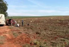 Fotos de Operação conjunta resgata 18 trabalhadores em situação análoga à escravidão em fazenda do PR