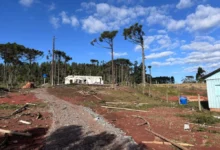 Fotos de Tornado no Paraná é classificado como F2 com ventos de 200 km/h
