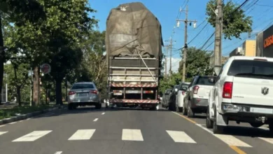 Fotos de Vídeo flagra caminhão derrubando semáforo após atingir galhos e fios em avenida de Maringá; assista