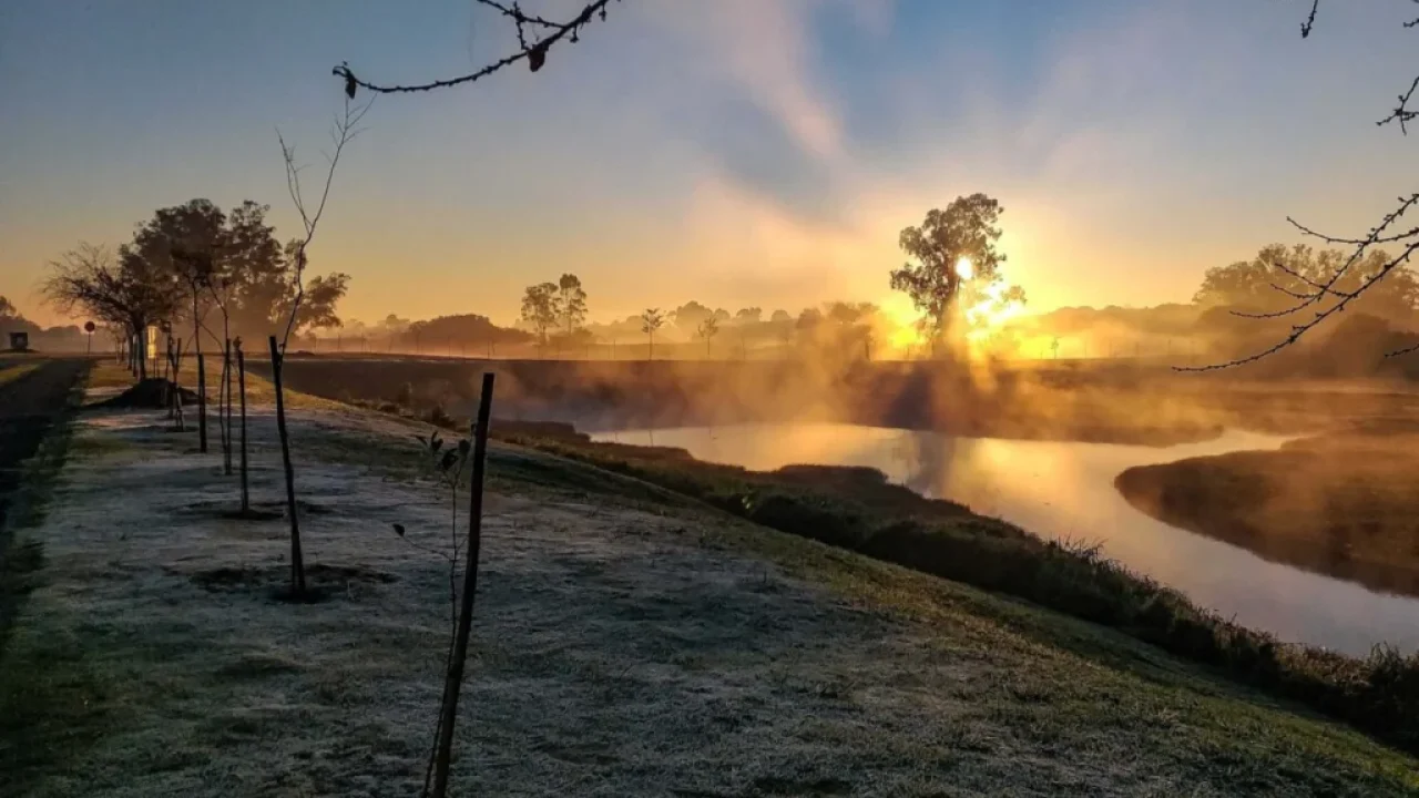 1oc-primeira-semana-do-inverno-pode-ser-a-mais-fria-do-ano-em-maringa-e-no-parana-veja-a-previsao-completa
