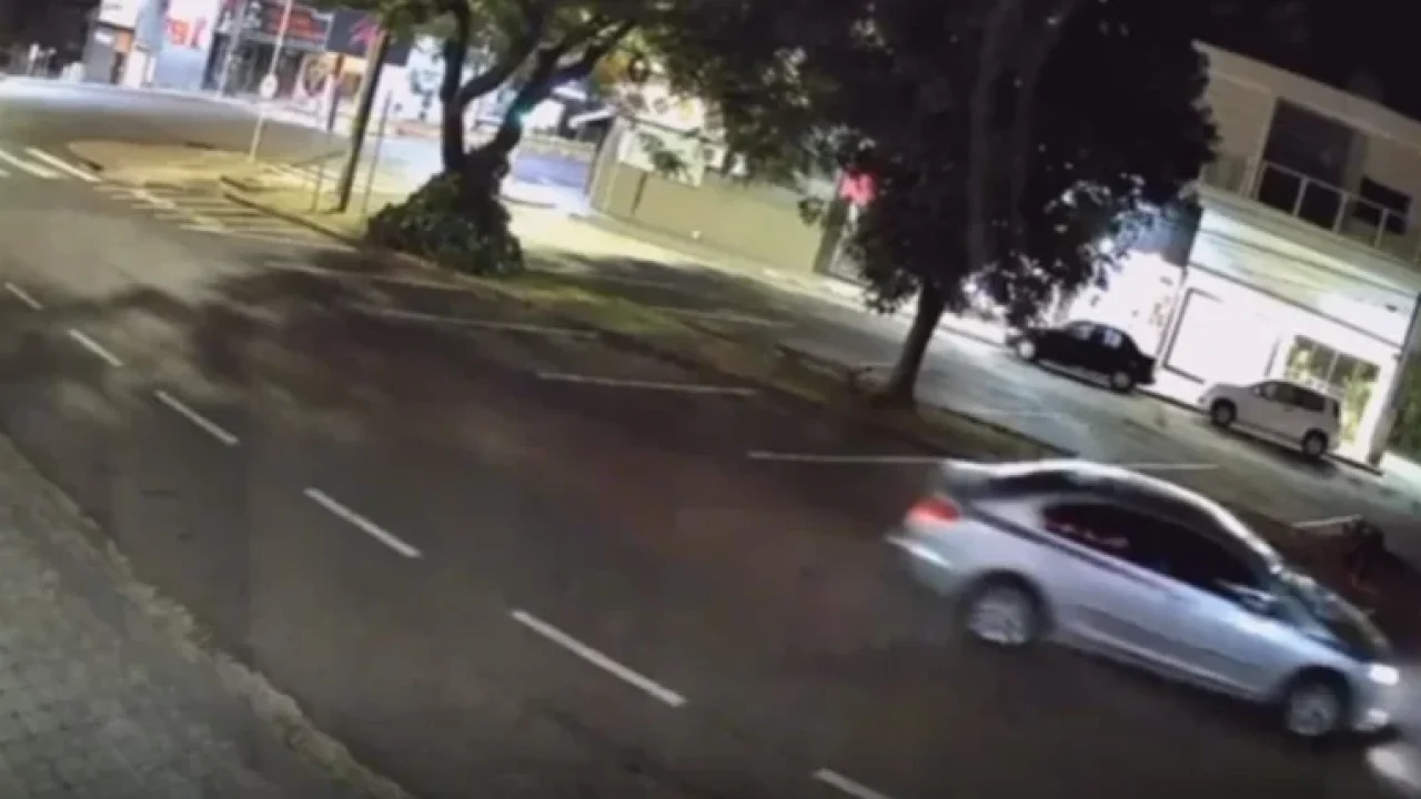 cadela-cuidada-ha-nove-anos-por-moradores-e-atropelada-e-morre-em-cidade-da-regiao-veja-o-video