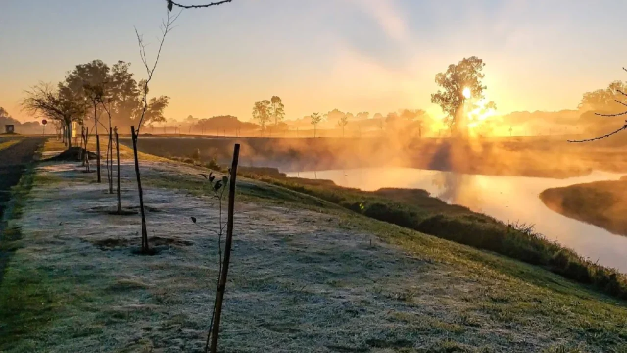frio-intenso-avanca-no-parana-142-municipios-entram-em-alerta-de-geada-e-previsao-indica-0c-nesta-semana-veja-a-lista-completa