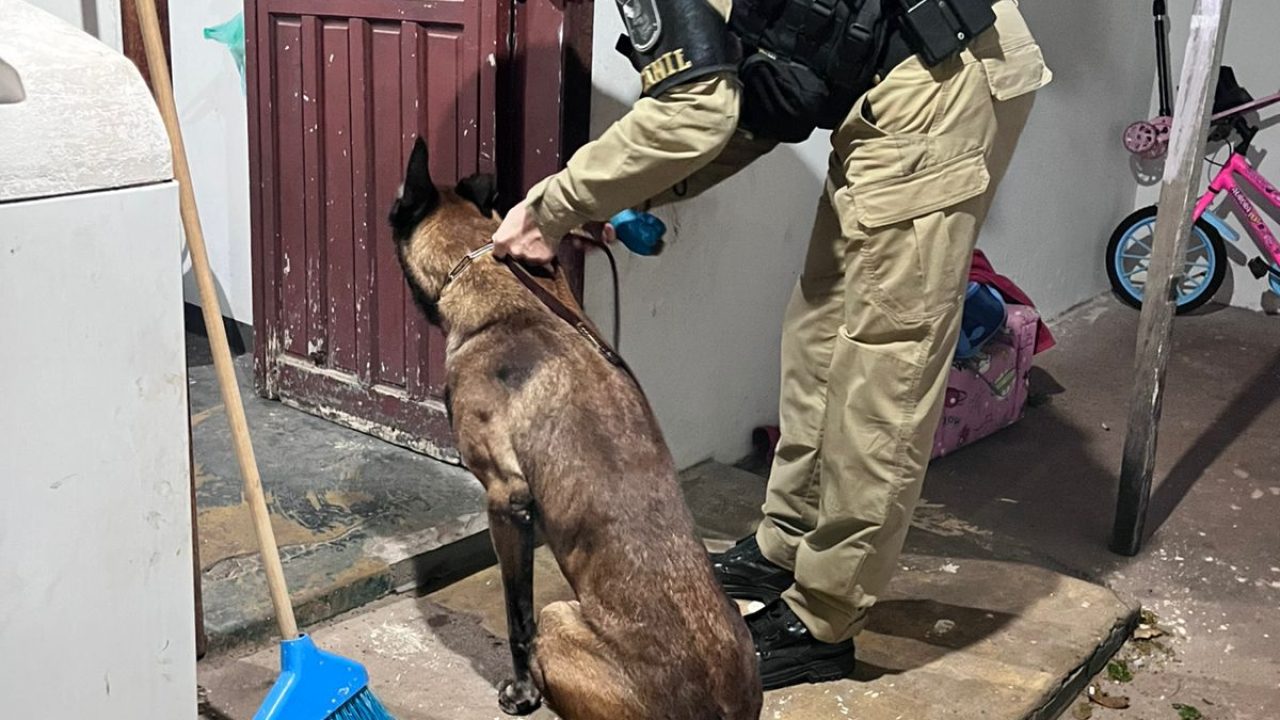 gaeco-cumpre-20-mandados-de-prisao-contra-lideres-de-faccao-em-maringa-e-outras-cidades-do-parana