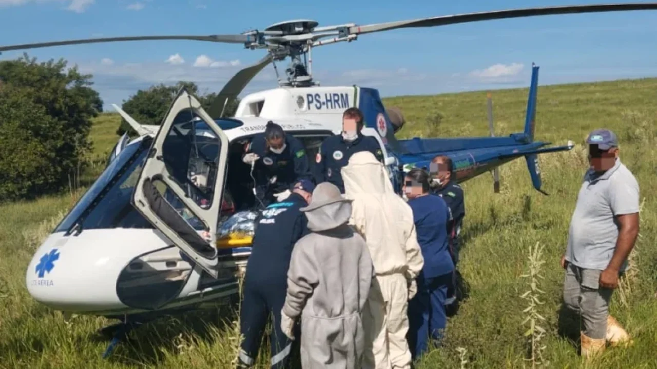 homem-sofre-cerca-de-100-picadas-de-abelhas-e-fica-gravemente-ferido-na-regiao