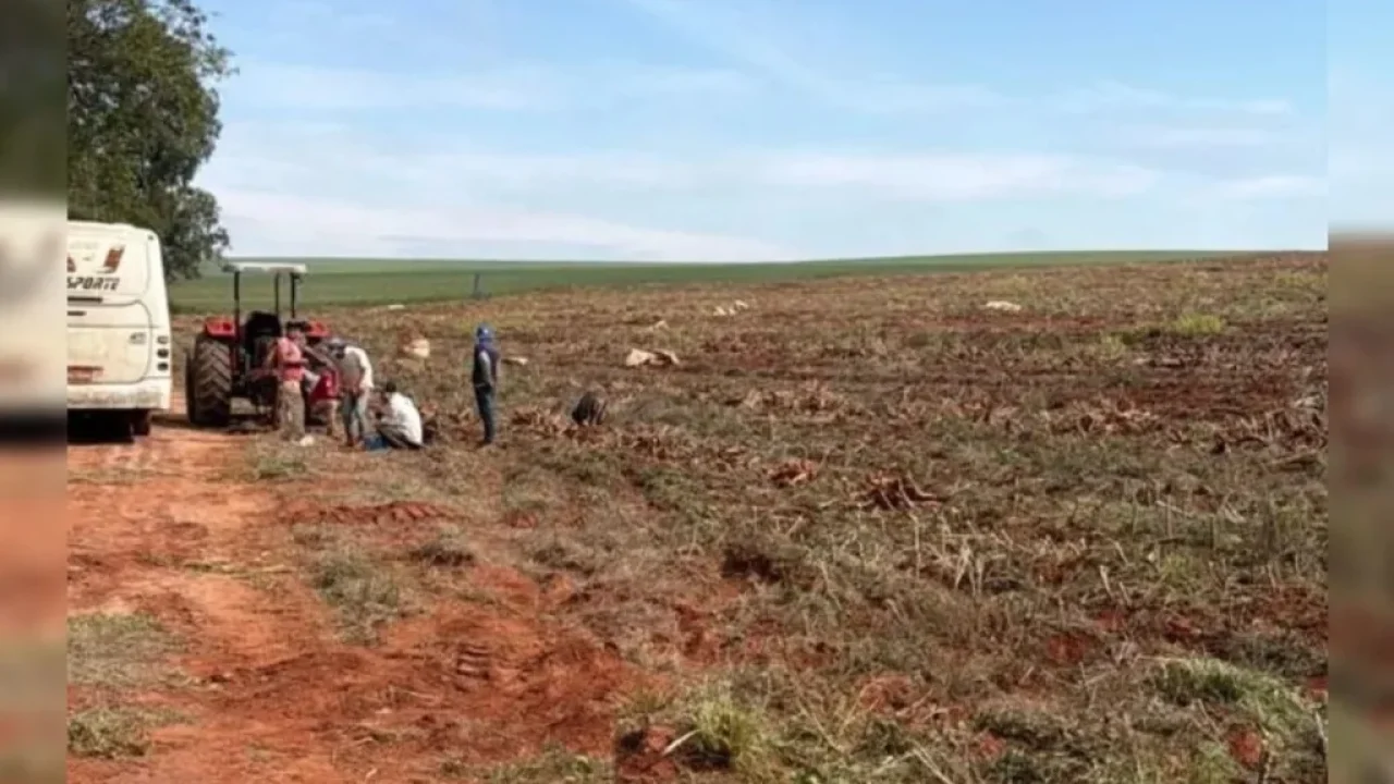 operacao-conjunta-resgata-18-trabalhadores-em-situacao-analoga-a-escravidao-em-fazenda-do-pr