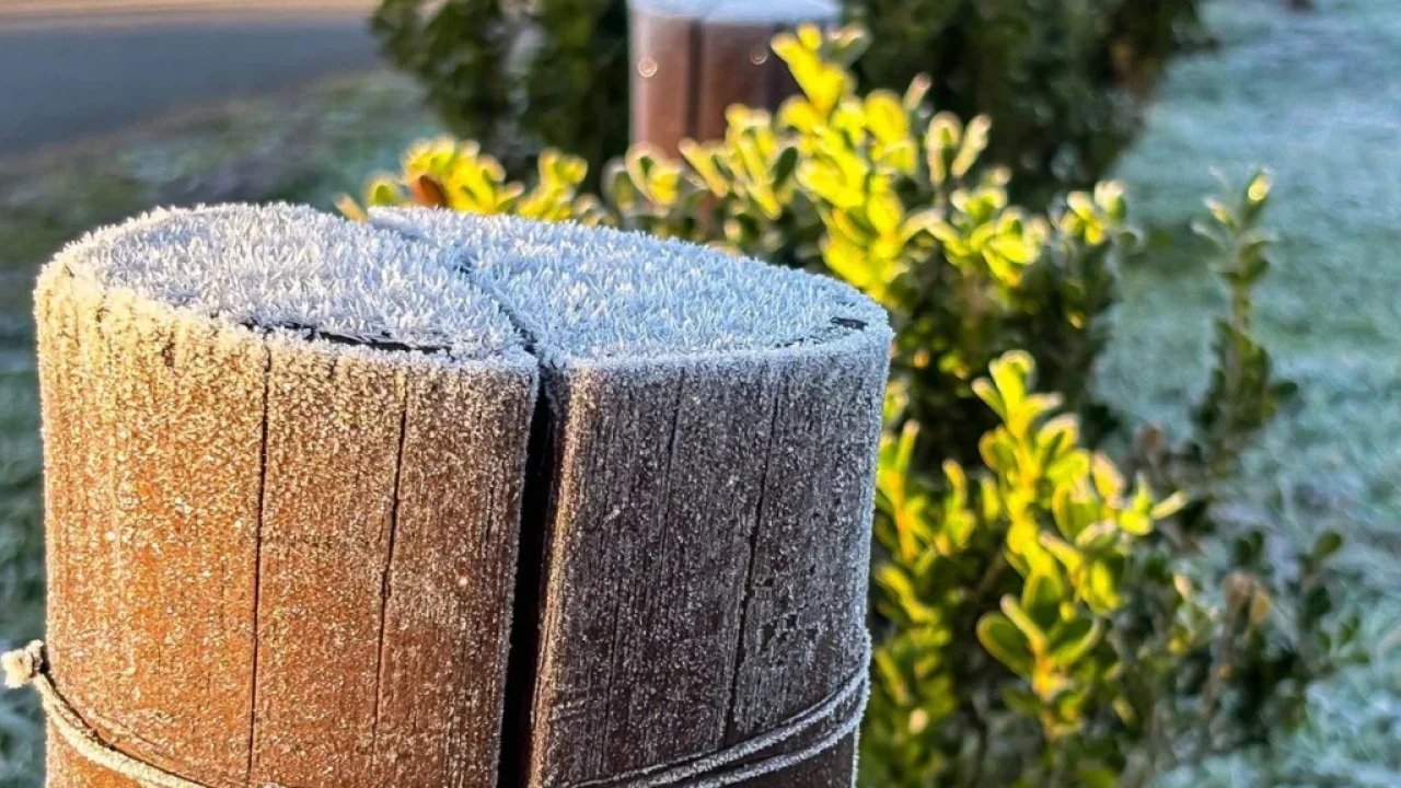 primeira-onda-de-frio-do-inverno-tem-data-confirmada-para-congelar-o-parana-com-1c-veja-quando
